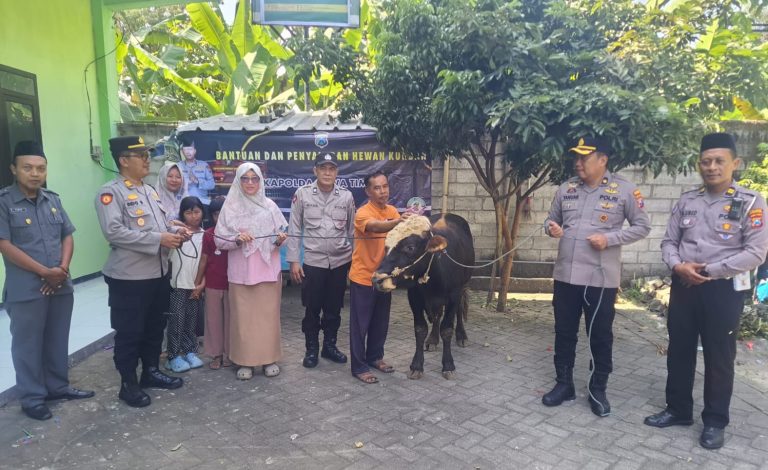 IMG-20260527-WA0177(1)