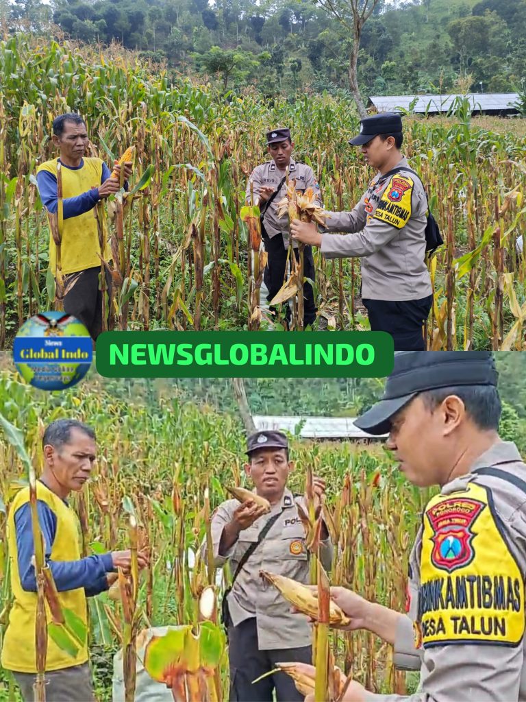WA_1780110927231