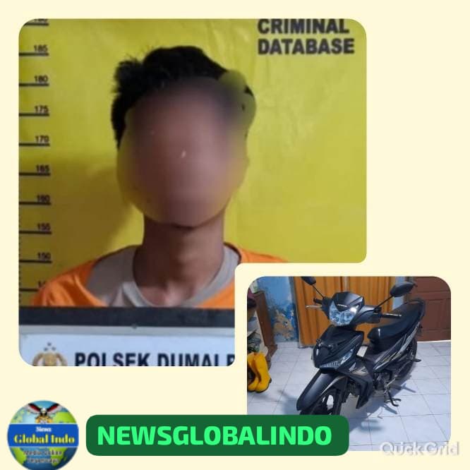 WA_1781224174463