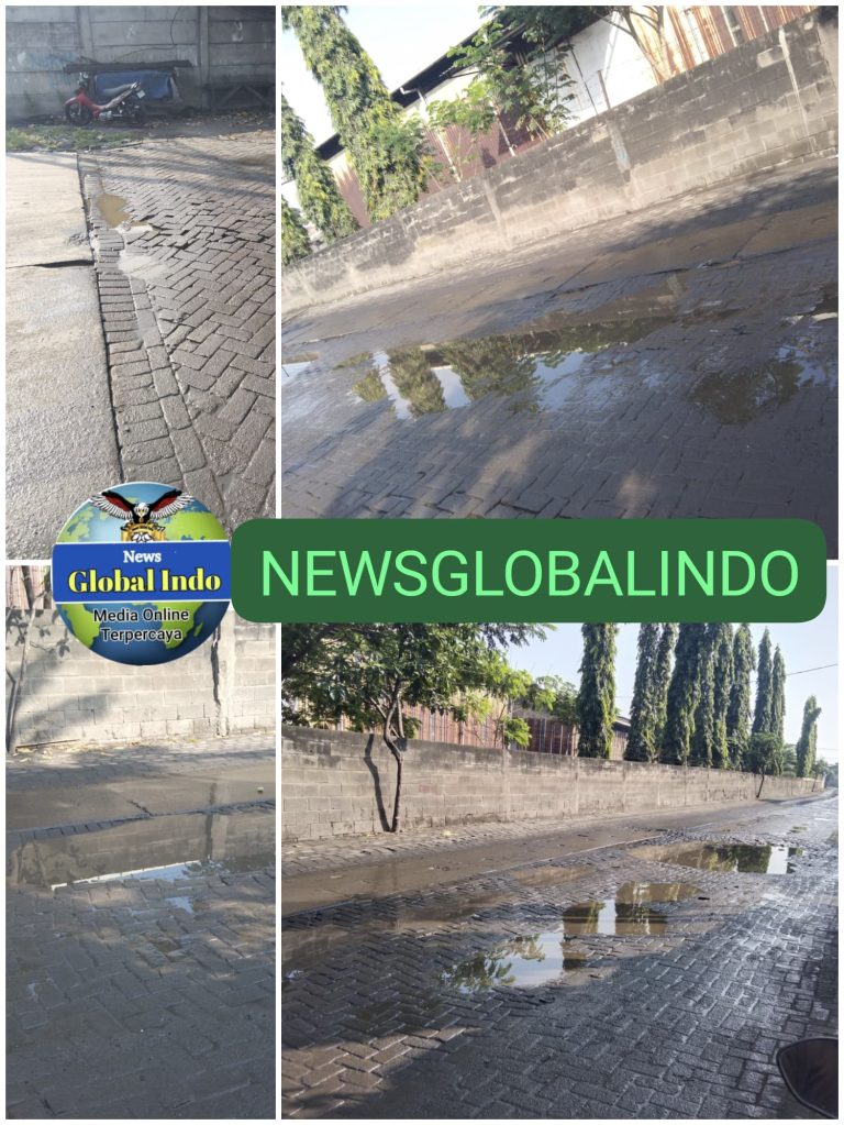WA_1781403260389