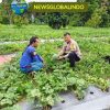 WA_1782053295502