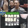 WA_1782179782244