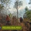 WA_1786344342565